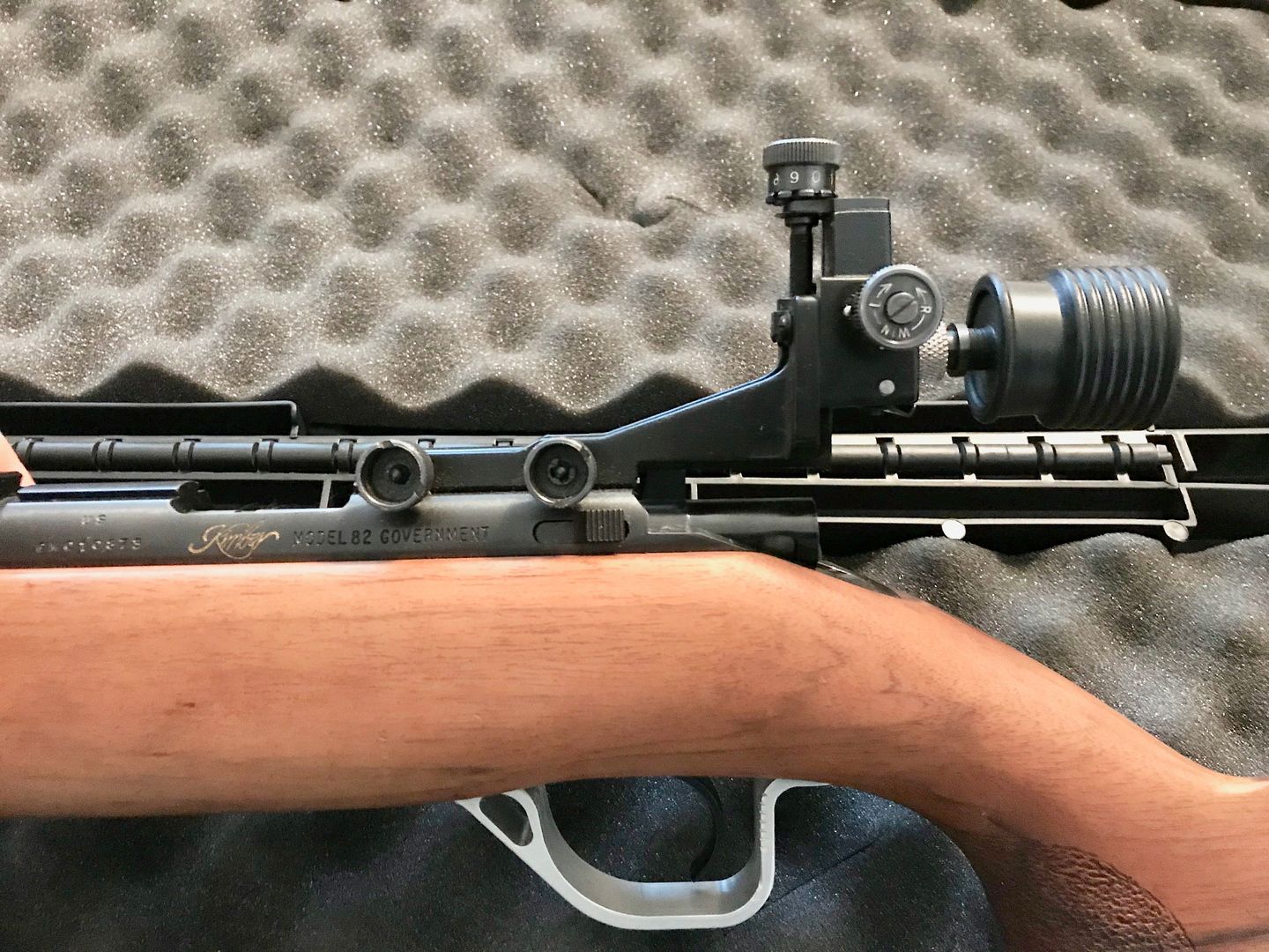 RUGER AMERICAN .22LR w/Adjustable Peep Sights Bushcraft USA Forums