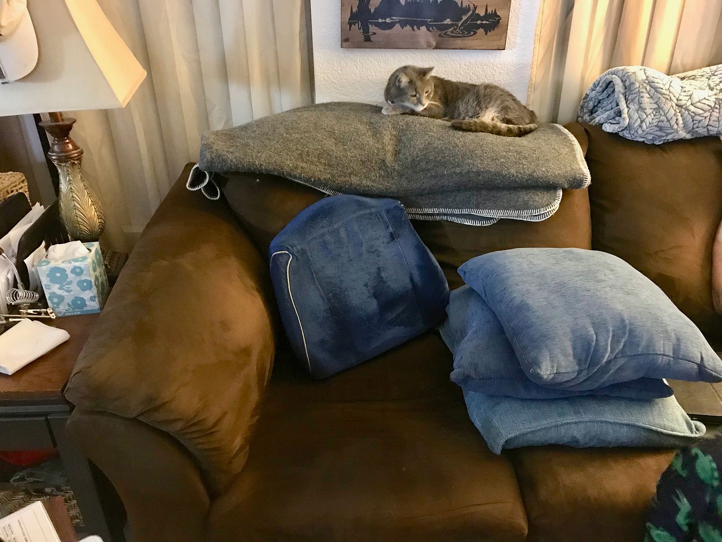 Alpaca Wool Blanket Machined Washing Results Bushcraft USA Forums