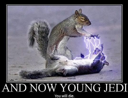 And now young jedi Pictures, Images and Photos
