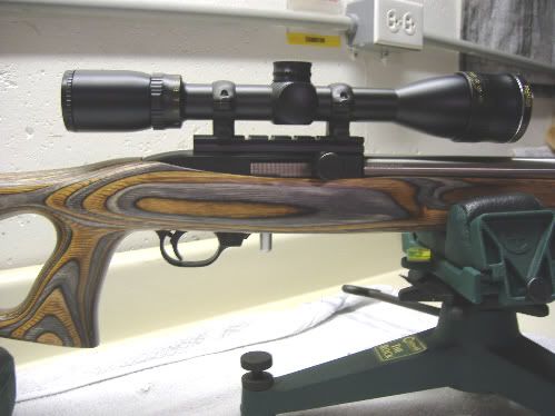 17 Hornady Mach 2 Conversion for Ruger 10 22 - XDTalk Forums - Your XD ...