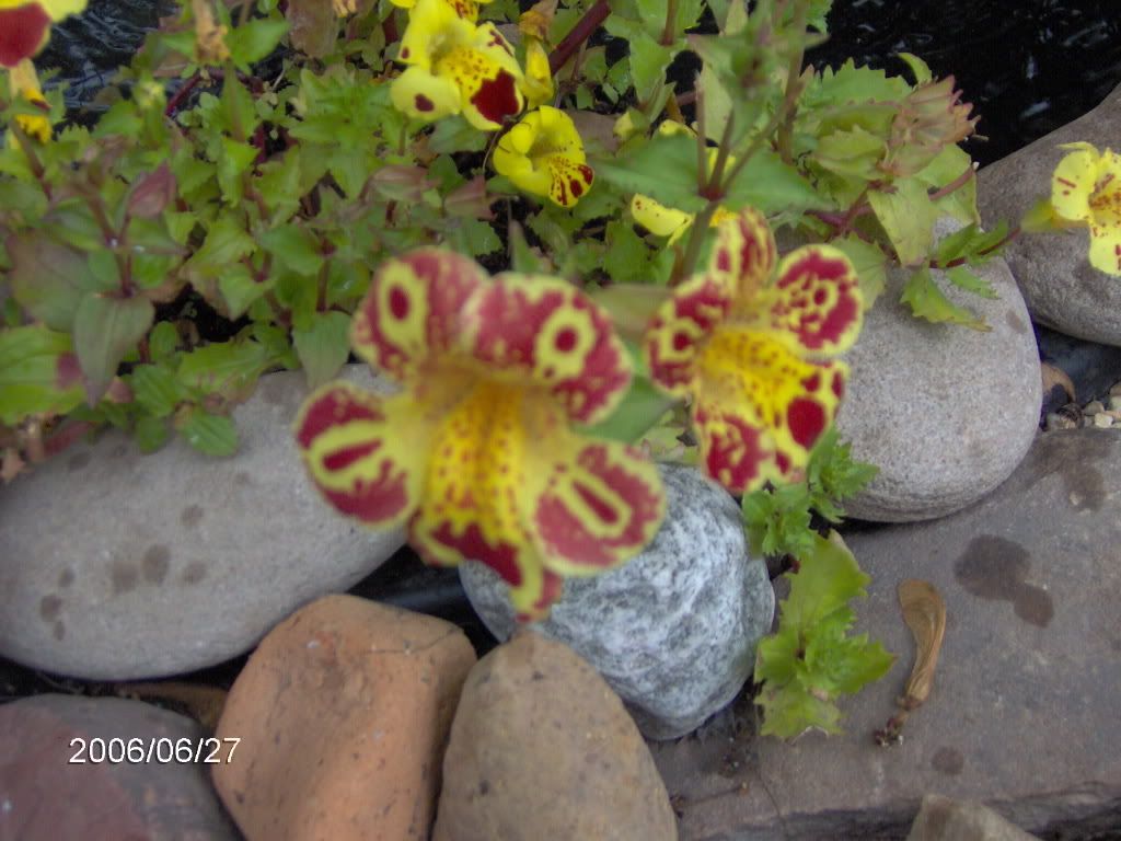 Photobucket - Video and Image Hosting