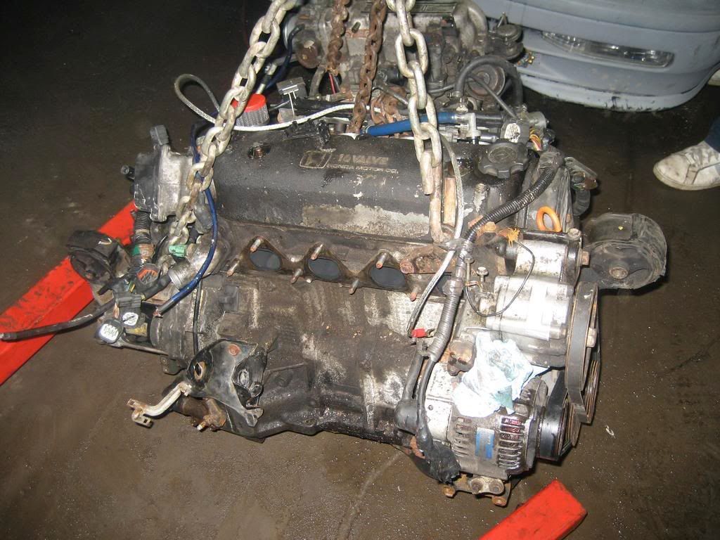 http://i80.photobucket.com/albums/j162/macmandan/h22swap/IMG_2070.jpg