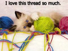 Animals-Cat-Ilovethisthreadsomuch.jpg