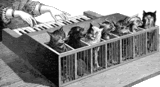 Animated-CatPiano.gif