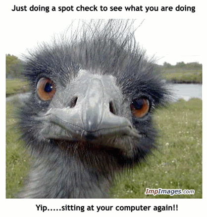 Animated-OstrichCheckingUponYou.gif