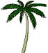 Animated Palm Tree