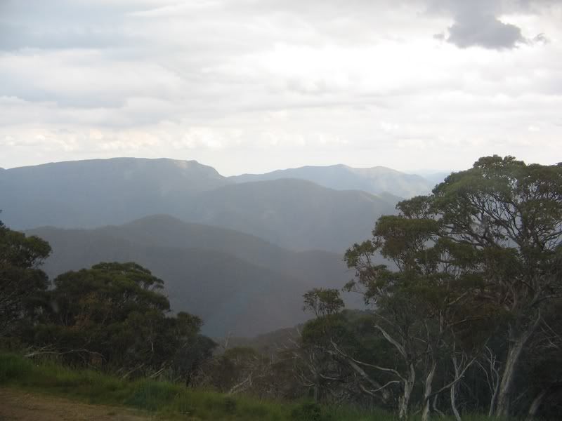IMAGE: http://i80.photobucket.com/albums/j164/swaybee/mtbuller.jpg