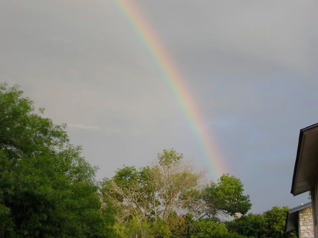 rainbow detail