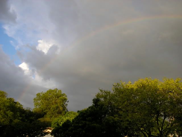 rainbow 1