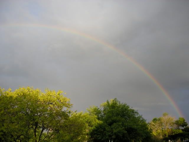 rainbow 2