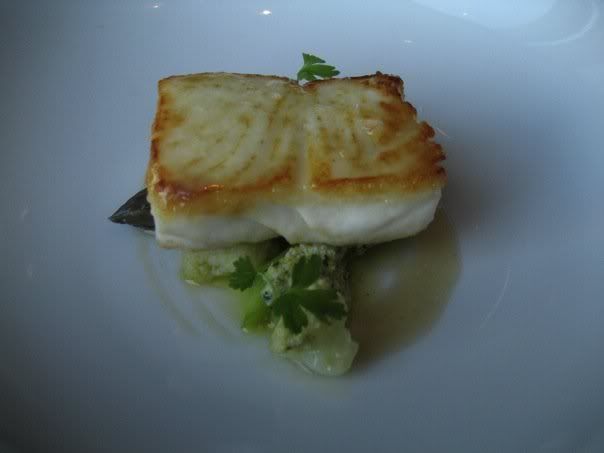 halibut