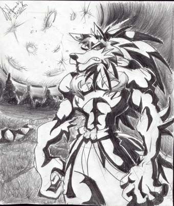 wolf.jpg