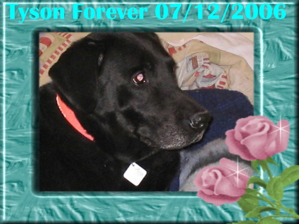 http://i80.photobucket.com/albums/j166/AmiCare/created/framed1tyson.jpg http://i80.photobucket.com/albums/j166/AmiCare/created/framed1tyson.jpg