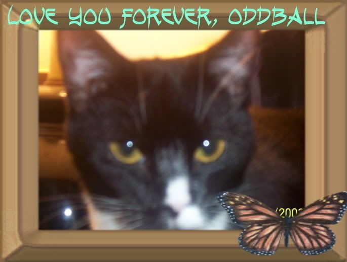 http://i80.photobucket.com/albums/j166/AmiCare/created/oie_OddBall_10_30_06.jpg http://i80.photobucket.com/albums/j166/AmiCare/created/oie_OddBall_10_30_06.jpg