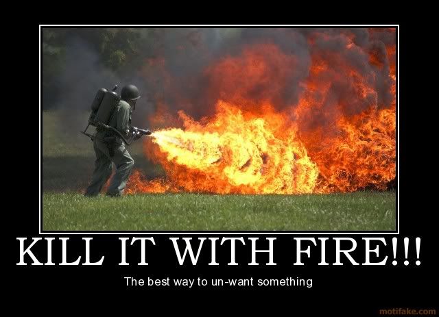 [Image: kill-it-with-fire-demotivational-poster-1235695993.jpg]