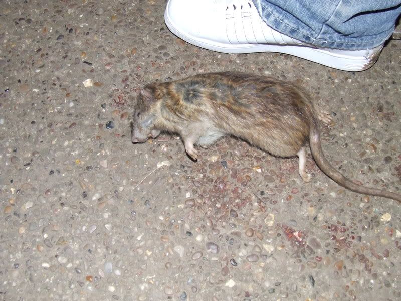 DSCF9679.jpg