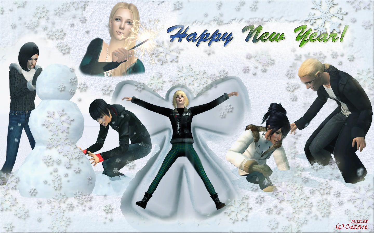 card311208.jpg