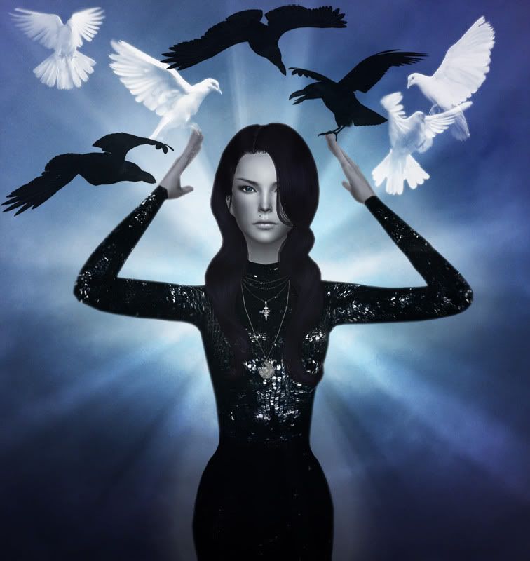 birds_sm-1.jpg