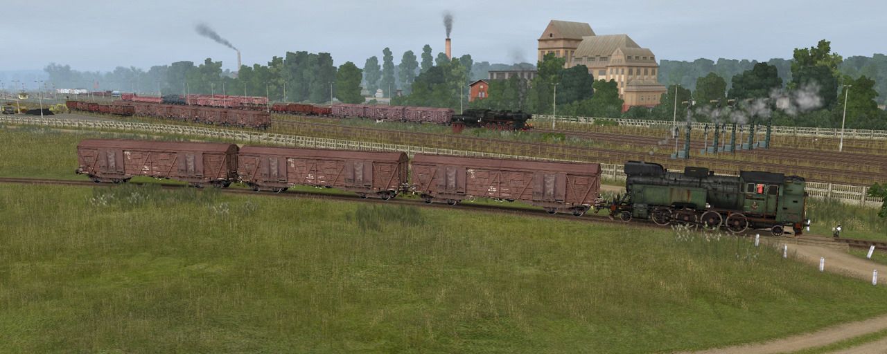 koziawola008.jpg
