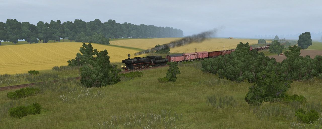koziawola010.jpg