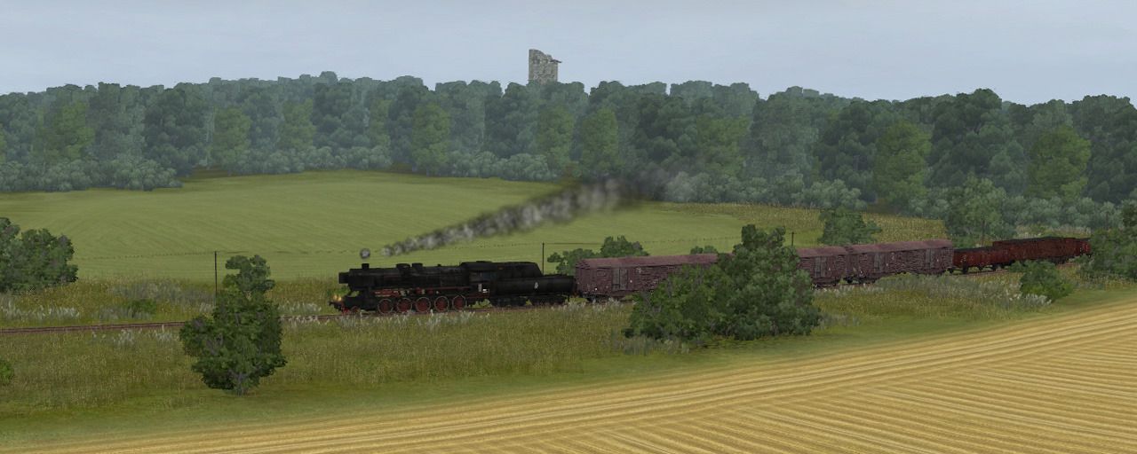 koziawola011.jpg
