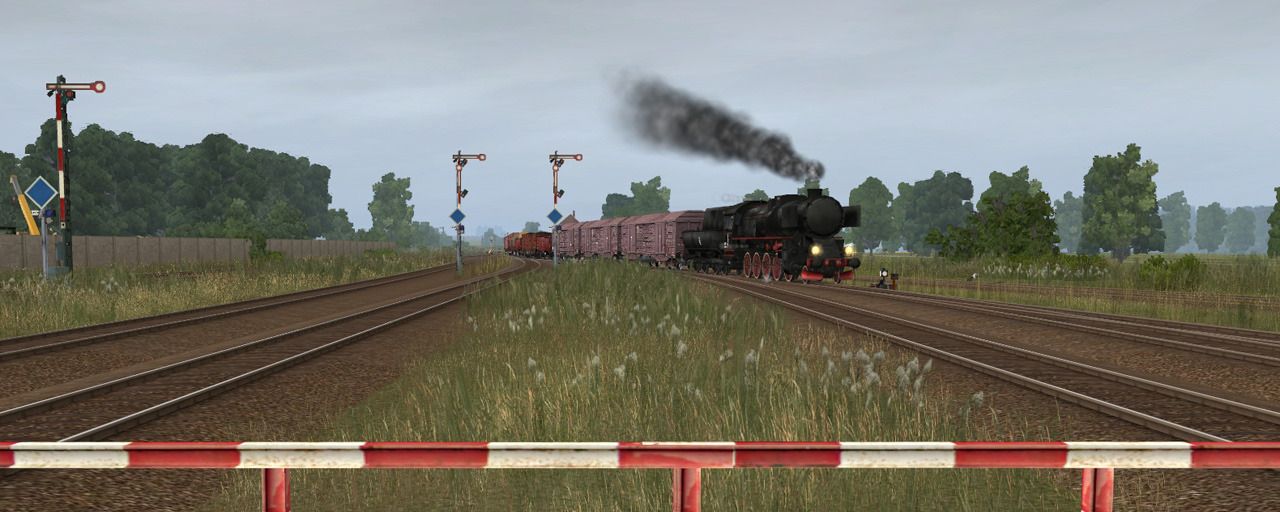 koziawola012.jpg
