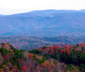 Georgia Mountains in Fall Pictures, Images and Photos