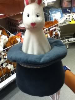 Uploaded from the Photobucket iPhone App