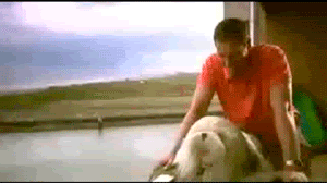 256y3o9.gif