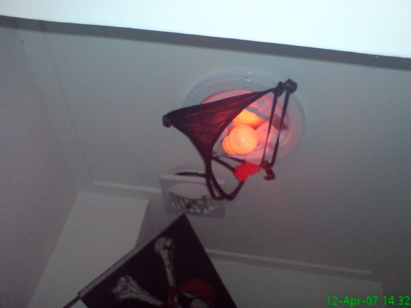 DSC00051.jpg