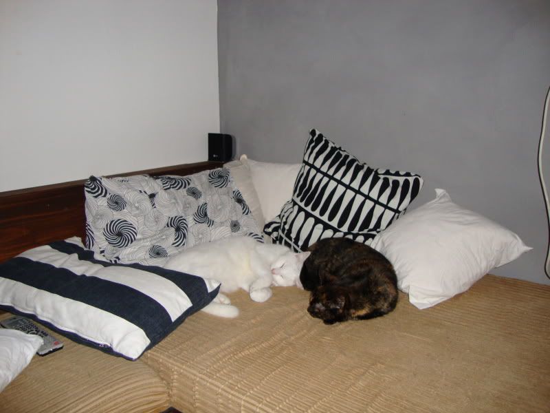 DSC00665.jpg