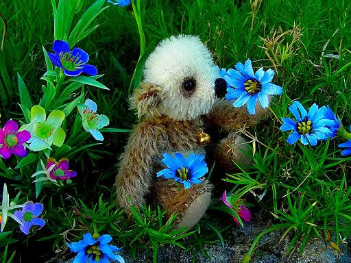 BumblesarahpandaJr042.jpg