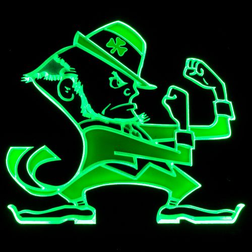 ZLD019 Green Notre Dame Fighting Irish Beer PUB Bar Display LED Light