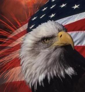 Bald Eagle and US Flag Pictures, Images and Photos