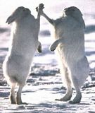 th_highfive.jpg