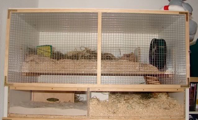 gehegehamster.jpg
