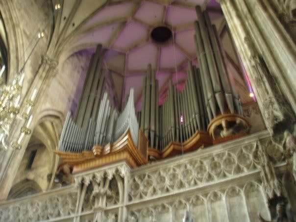 Organ