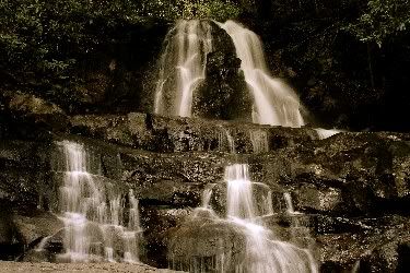 Laurel Falls