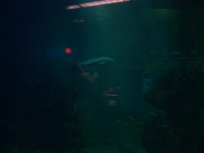 100_0714.jpg