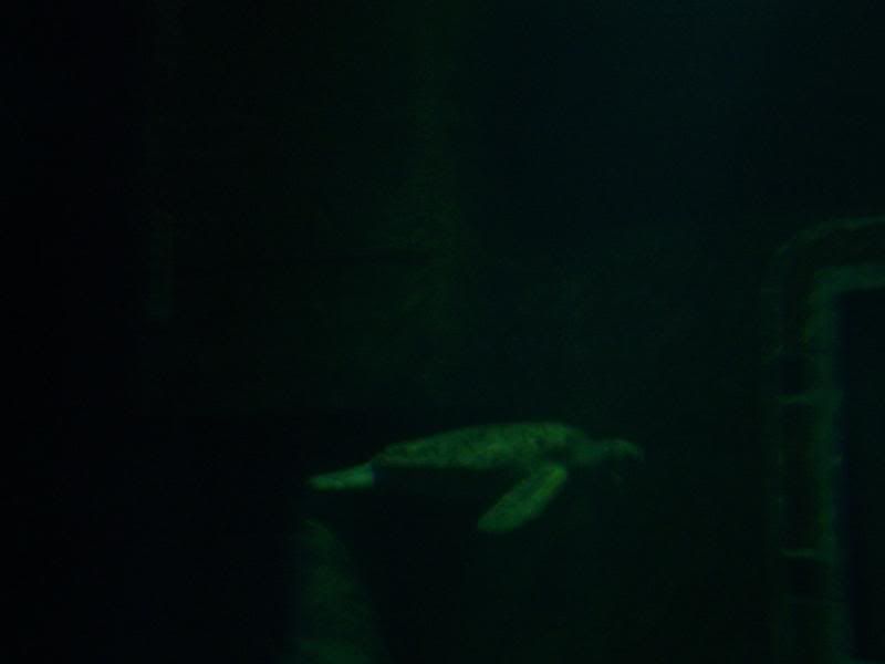 100_0718.jpg
