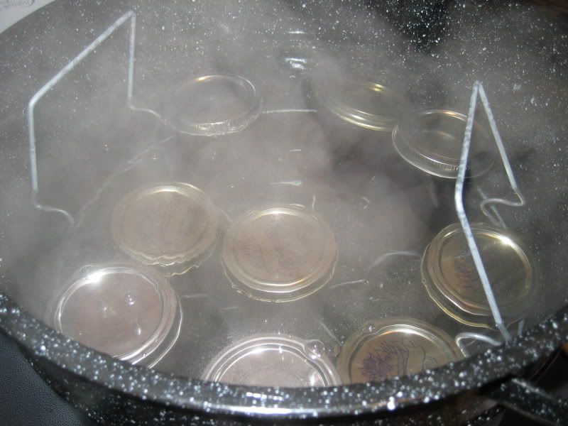 jars in steaming canning pot
