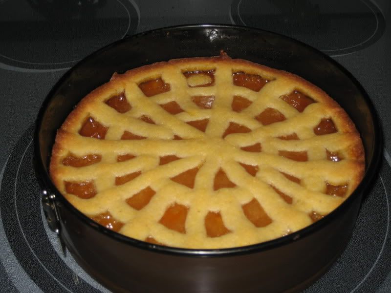 apricot tart in IKEA springform pan