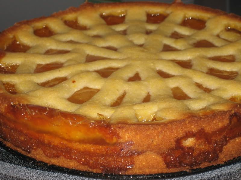 Apricot tart with edges showing