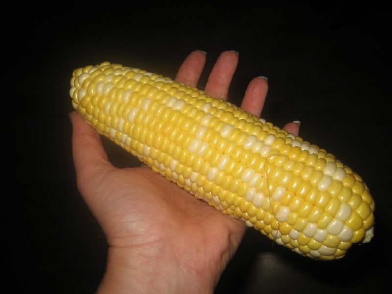 big corn on the cob in my much smaller hand