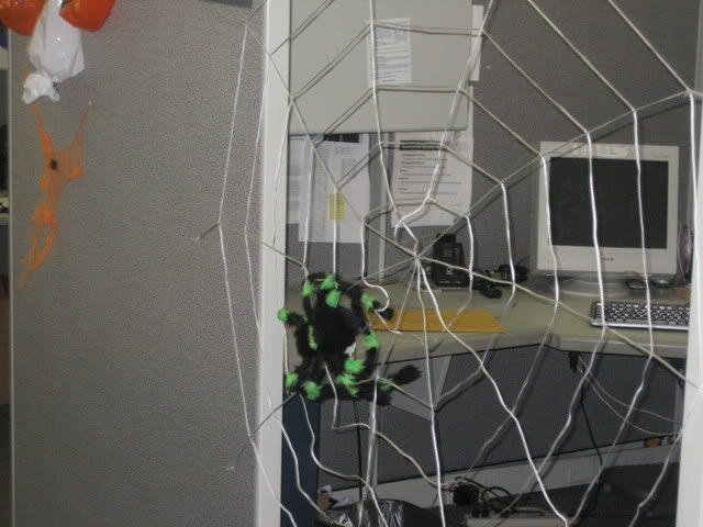 spider web blocking cube entrance