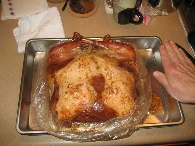 cooked Terducken in roasting pan with hand for scale