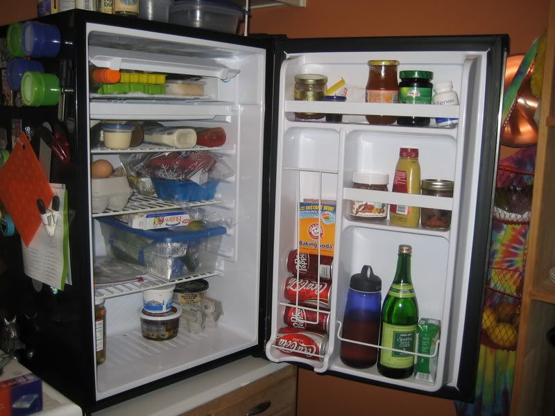 dorm fridge filled with food