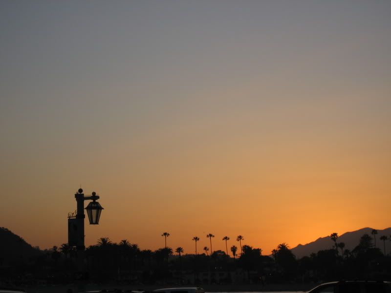 santa barbara sunset with palm trees