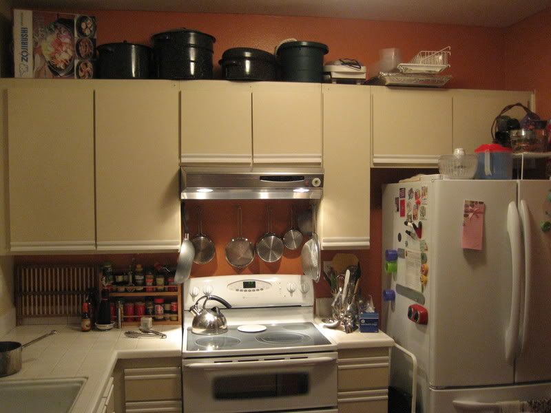 kitchen cabinets and clutter before