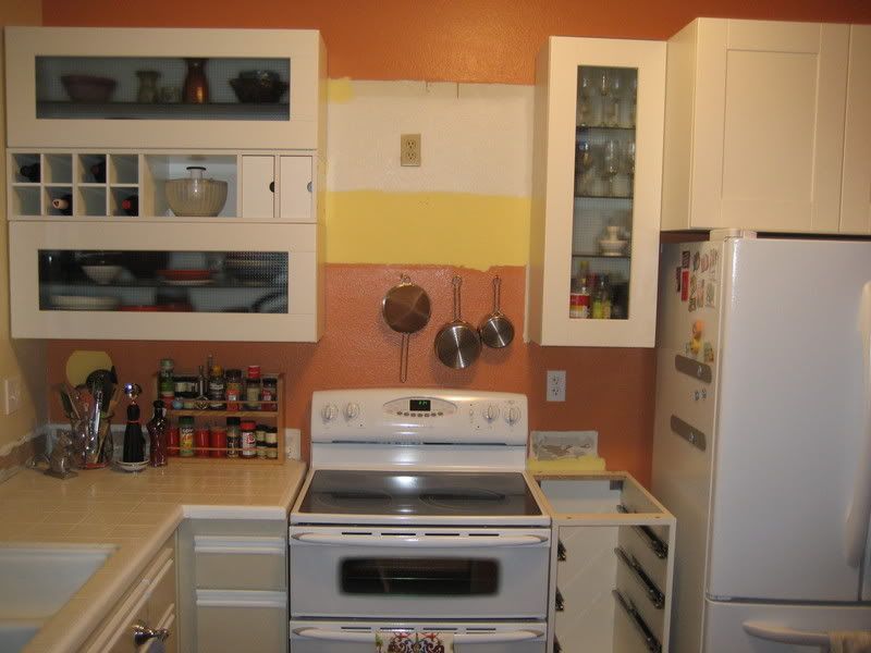 kitchen cabinets with stuff inside